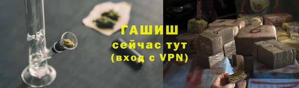 хмурый Белокуриха