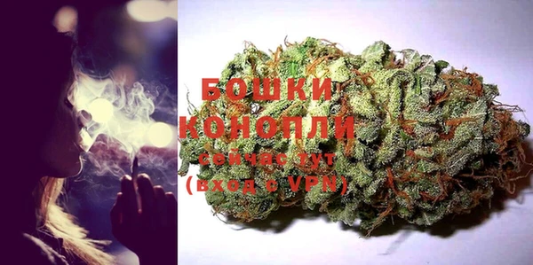 гидра Арсеньев