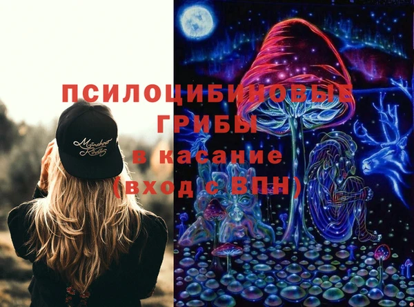 гашик Губаха