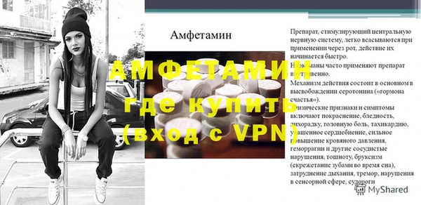 гидра Арсеньев