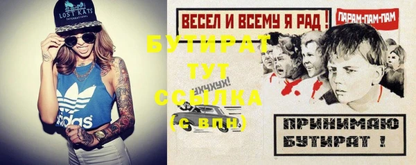 гидра Арсеньев