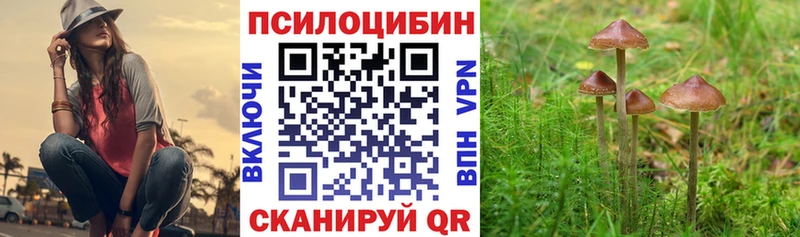закладки  Мамадыш  Псилоцибиновые грибы Cubensis 